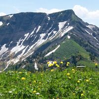 Blick vom Alpkopf zum Hohen Freschen