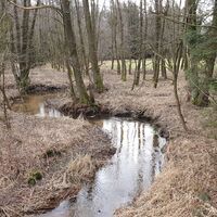 17.1 km Mäander des jungen Braunaubachs