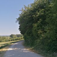 Heckenlehrpfad mit Vulkanblick