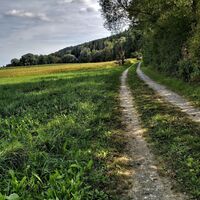 Oberdorf bei Weiz _Oststeiermark
