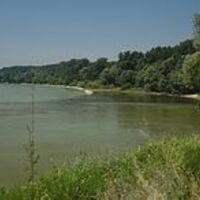 Mündung March / Donau