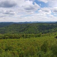 Panoramablick vom Luitpoldturm Richtung Hermersbergerhof