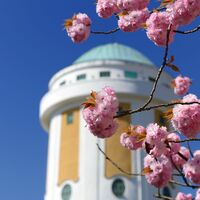 Frühling am Wasserturm