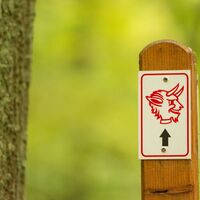 Markierung - Teufel (FCK)