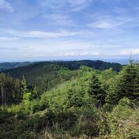 Rückblick auf den nördlichen Hausruckwald
