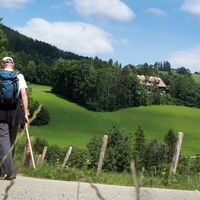 Weg nach Mariazell