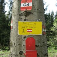 Über den Schöpfl