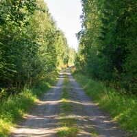 Metsätie