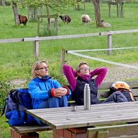Auftanken am Rastplatz Riepholm