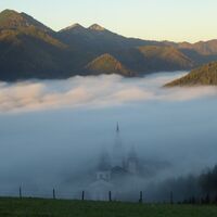 .. im Morgennebel ..