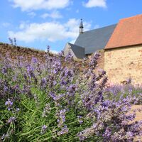 Kloster Buch