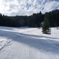 Durch die Stille der Natur