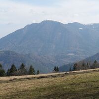 Ausblick östl. der Speckbacher Hütte