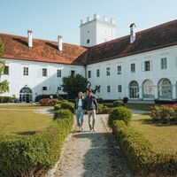 Schloss Ennsegg Enns