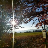 Ausblick vom Bienenlehrpfad Passail, Naturpark Almenland in der Oststeiermark