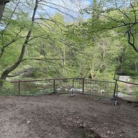 Die vermutlich vom Hochwasser im September 2024 zerstörte Fußgängerbrücke wurde nicht wiedererrichtet
