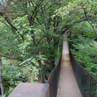 Hängebrücke vom Zugang zur Ruine
