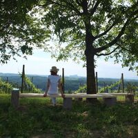 Rast am Ederberg