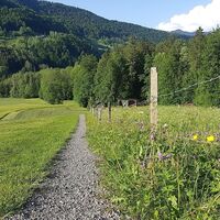 Weg hinunter ins Vorsäß Enge