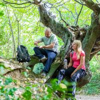 Alte Buchen am Aachener Landgraben