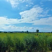 Ausblick vom Aussichtspavillon