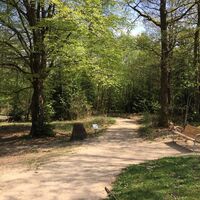 Naturerlebnispfad Hohe Bracht