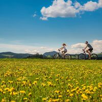 Radfahren im Naturpark Almenland_Oststeiermark