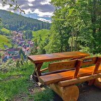 Luisenthal Rastplatz Ananas - Blick