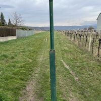 Am Weinort Sooß vorbei (Einkehrmöglichkeiten)