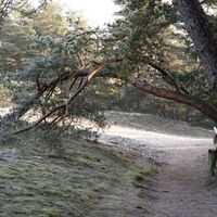 Wanderdünen-Weg