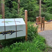 Amphibienstation Lengefeld
