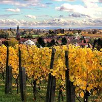 Blick auf Heuchelheim-Klingen