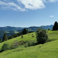 Unterbergvorsäß