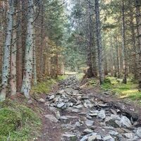 Bruderkogel-Pölstal-Murtal-Steiermark c Martin Muhrer_BergfexMartin (4).jpg