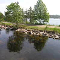 Lammassaari