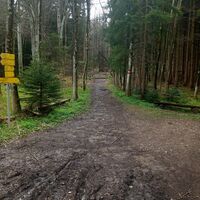 Beim Rückweg gingen wir hier gerade aus