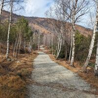 Schotterstraße zur Ca' Bianca