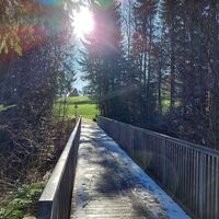 Brücke Moos Richtung Nannen