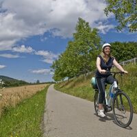 Radeln auf dem Bodenseeradweg