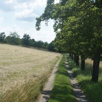 Briefträgerweg bei Bad Köstritz