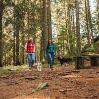 Wandern auf der Hebalm