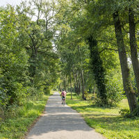 Meckelfeld Pulvermühlenteich