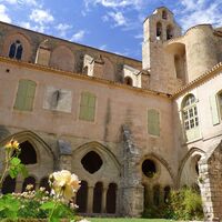 Abbaye de Valmagne - E Brendle