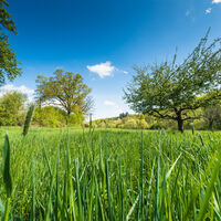 Rund um Karlsbad
