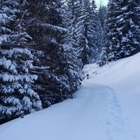 Ochsenrunde_Schneespur