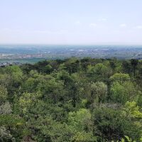 Ausblick auf der Ruine Rauheneck