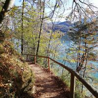 Nordufer des Fuschlsees