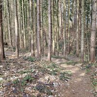 13.3 km Runter in den Leberholzbach-Graben