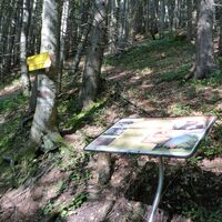 lnfotafel am Bärenweg