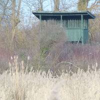 Pavillon im Ried